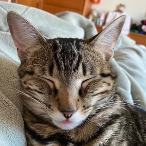 Meet your Posher, Sheryl